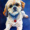 Cool Lhasa Apso Diamond Painting