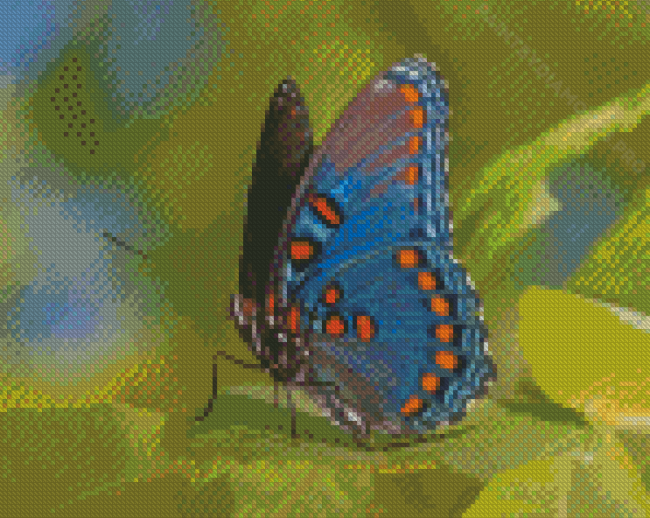 Cool Limenitis Arthemis Diamond Painting