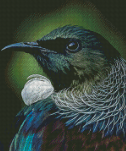 Cool Tui Bird Diamond Painting