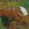 Cool Moose Wildlife Diamond Painting