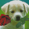 Cool Puppy With Rose Diamond Painting