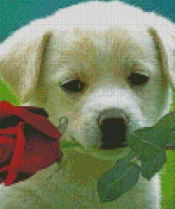 Cool Puppy With Rose Diamond Painting