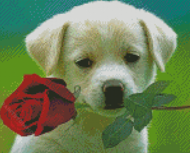 Cool Puppy With Rose Diamond Painting