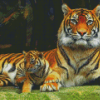 Cub And Tiger Diamond Painting