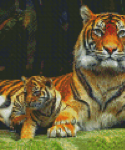 Cub And Tiger Diamond Painting