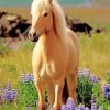 Cute Palomino Horse Diamond Painting