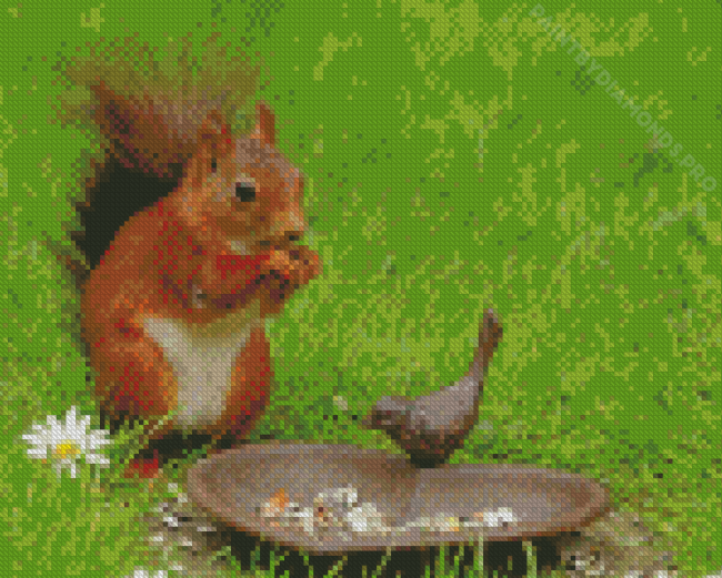 Cute Squirrel And Bird Diamond Painting