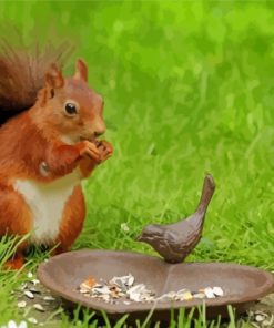 Cute Squirrel And Bird Diamond Painting