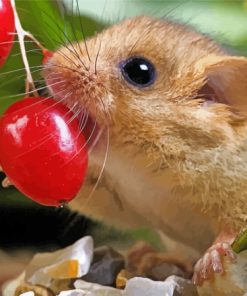 Dormouse Eating Berries Diamond Painting