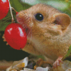 Dormouse Eating Berries Diamond Painting