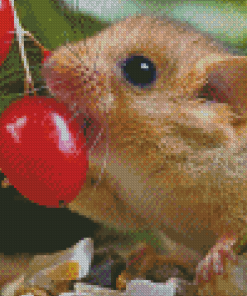 Dormouse Eating Berries Diamond Painting