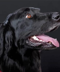 Flat Coated Retriever Head Diamond Painting