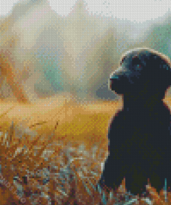 Flat Coated Retriever Puppy Diamond Painting