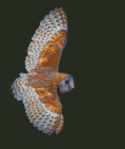 Flying Barn Owl Wings Diamond Painting