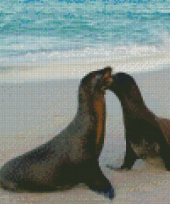 Galapagos Sea Lion Mother And Baby Diamond Painting