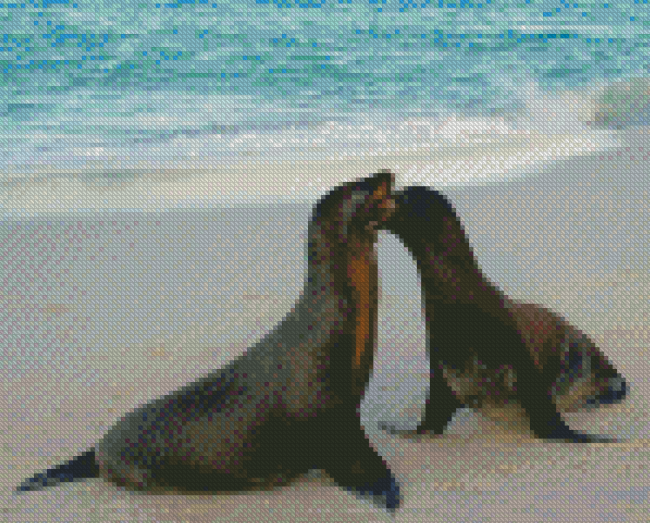 Galapagos Sea Lion Mother And Baby Diamond Painting