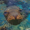 Galapagos Sea Lion Underwater Diamond Painting