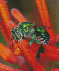 Green Euglossa Bazinga Bee Diamond Painting