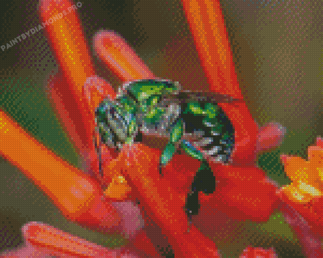 Green Euglossa Bazinga Bee Diamond Painting