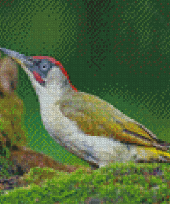 Green European Woodpecker Bird Diamond Painting