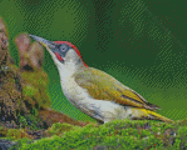 Green European Woodpecker Bird Diamond Painting