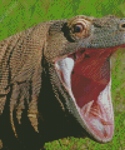 Komodo Dragon Monitor Diamond Painting