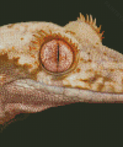 Lilly White Crested Gecko Reptile Diamond Painting