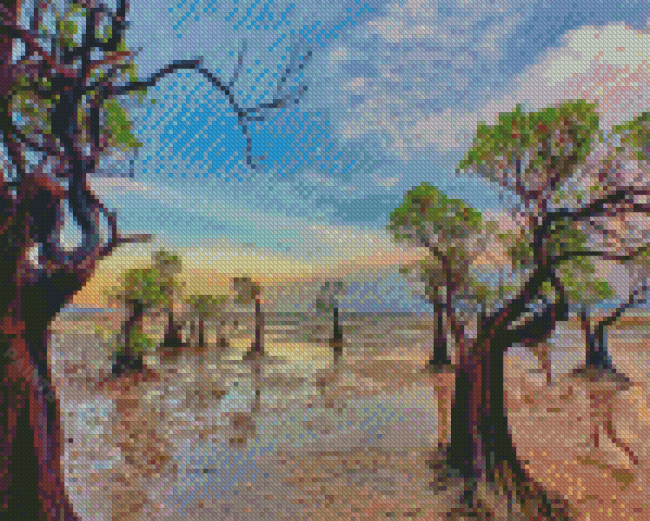 Mangrove Trees Forest Diamond Painting