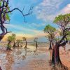 Mangrove Trees Forest Diamond Painting