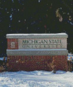 Michigan State University In Snow Diamond Painting