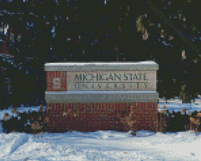 Michigan State University In Snow Diamond Painting