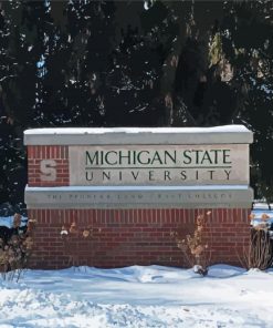 Michigan State University In Snow Diamond Painting