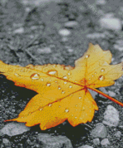 Monochrome Maple In The Rain Diamond Painting