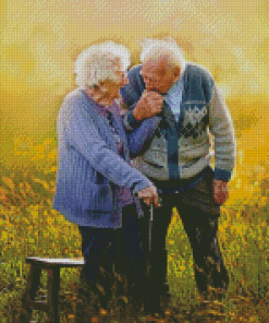 Old Couple In Love Diamond Painting