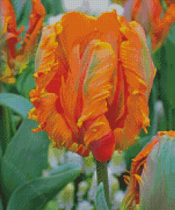 Orange Parrot Tulips Diamond Painting