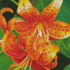 Orange Tiger Flower Diamond Painting