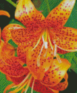 Orange Tiger Flower Diamond Painting