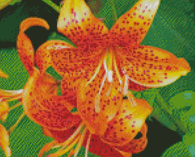 Orange Tiger Flower Diamond Painting