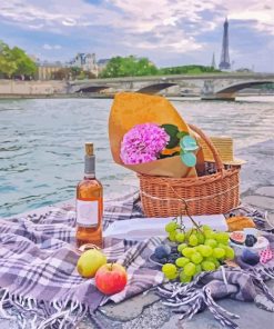 Picnic In Paris France Diamond Painting