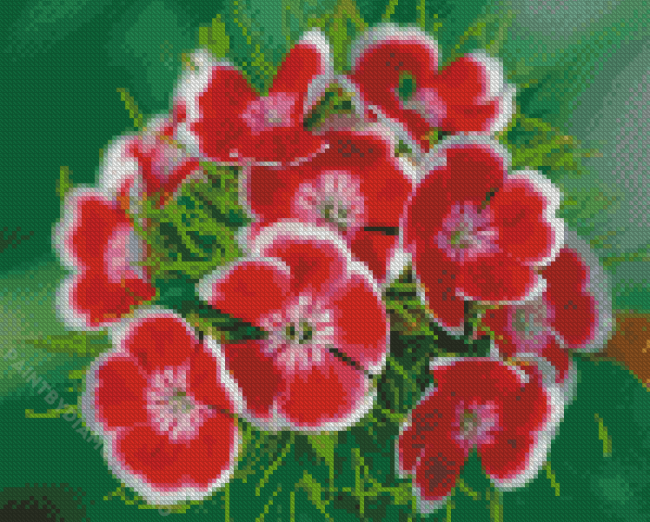 Red Sweet Williams Diamond Painting