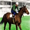 Red Rum Racehorse Diamond Painting