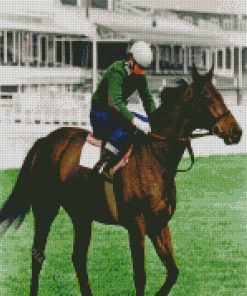 Red Rum Racehorse Diamond Painting