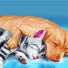 Sleeping Dog And Cat Animals Art Diamond Painting