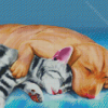 Sleeping Dog And Cat Animals Art Diamond Painting