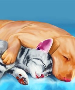 Sleeping Dog And Cat Animals Art Diamond Painting