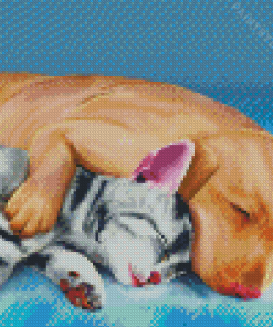 Sleeping Dog And Cat Animals Art Diamond Painting