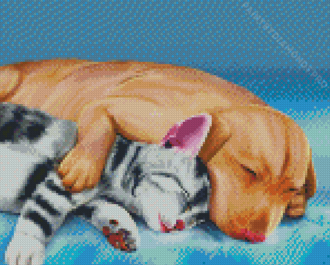 Sleeping Dog And Cat Animals Art Diamond Painting