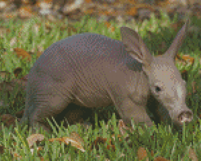 Small Aardvark Diamond Painting