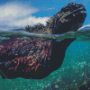 Swimming Iguana Diamond Painting