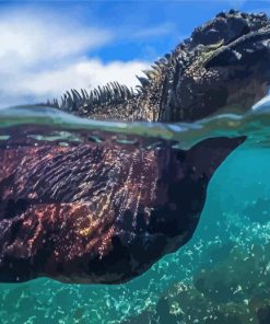 Swimming Iguana Diamond Painting